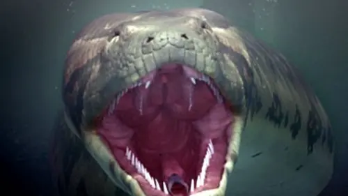 Titanoboa, le plus grand serpent du monde