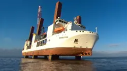 Titans des mers, les croisières