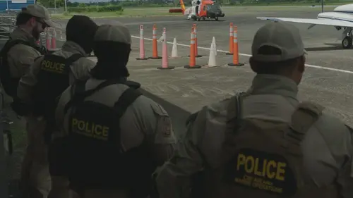 To Catch a Smuggler: Tropical Takedown Cocaïne et gros billets