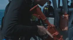 To Catch a Smuggler: Tropical Takedown