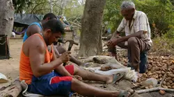 Tohoku, le Japon sauvage