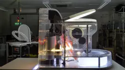 Toilettes sans tabou