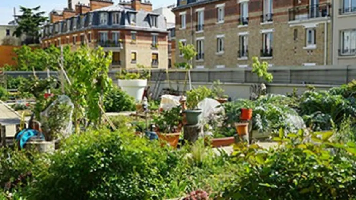 Toits de Paris, des jardins extraordinaires E01
