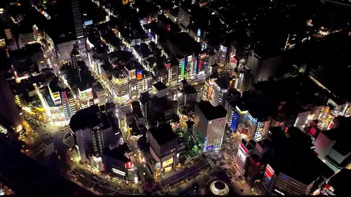 Casting Tokyo la nuit : dans les secrets d'un Japon sans tabou