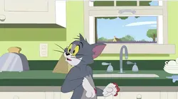 Tom et Jerry Show S04E226 Tom le mal aimé