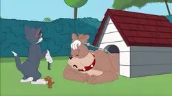 Tom et Jerry Show S02E02 Un grand coup de propre