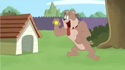 Tom et Jerry Show S04E210 Tom et sa baballe