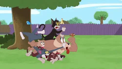 Tom et Jerry Show S04E210 Tom et sa baballe
