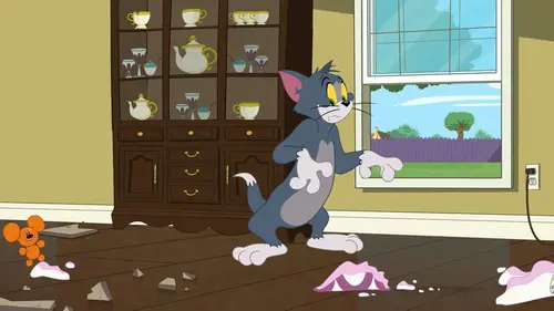 Tom et Jerry Show S04E11 L'anniversaire de mariage