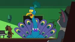 Sur Boomerang à 18h31 : Tom et Jerry Show
