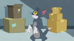 Tom et Jerry Show