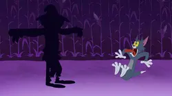 Tom et Jerry Show