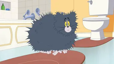 La tique attaque