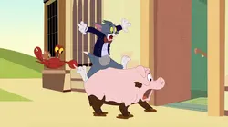 Visuel de Tom et Jerry Show