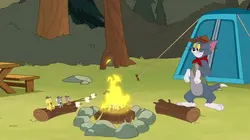 Tom et Jerry Show