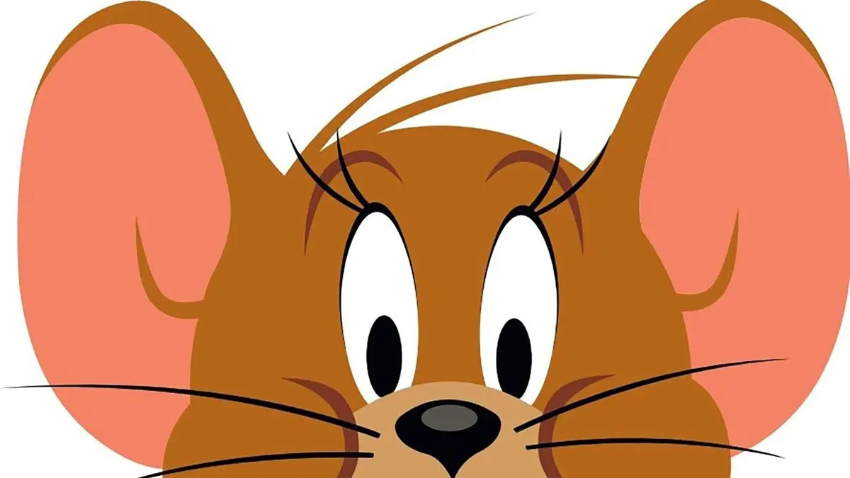 Tom et Jerry Show S02E07 Interdit aux mouches