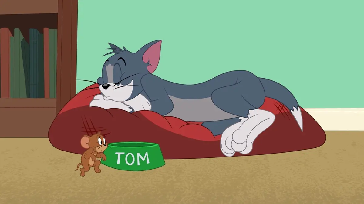 Tom et Jerry Show S04E210 Tom et sa baballe