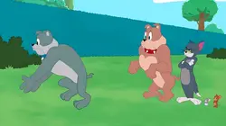 Tom et Jerry Show S04E15 Un frère envahissant