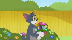 Tom et Jerry Show S04E53 Le bouquet de l'amour