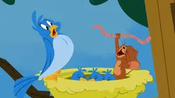 Tom et Jerry Show S01E23 Pour l'amour de Roudoudou