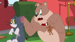 Tom et Jerry Show  S02E69 De la théorie à la pratique