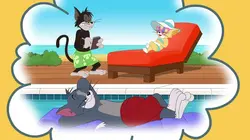 Tom et Jerry Show S02E72 Deux chats pour un os