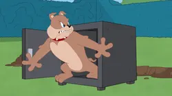 Tom et Jerry Show S02E19 Embonpoint