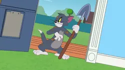 Tom et Jerry Show S02E61 Tom s'arrache les cheveux