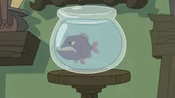 Tom et Jerry Show S02E75 Comme un poisson hors de l'eau