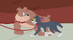 Tom et Jerry Show Le coup de fatigue