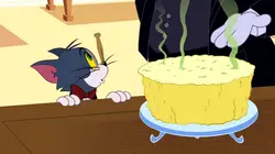 Tom et Jerry Show Opération : fromage