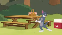 Tom et Jerry Show S03E11 L'ami des aigles