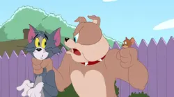 Tom et Jerry Show Erreur sur la personne