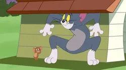 Tom et Jerry Show S03E13 Tout le monde dans la piscine