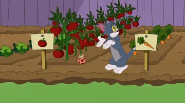 Le potager