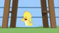 Tom et Jerry Show S02E02 Le canard maudit