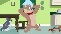 Tom et Jerry Show S04E26 Le trouble de l'attachement