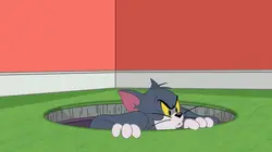 Tom et Jerry Show S02E19 Tom et Jerry tournent en rond