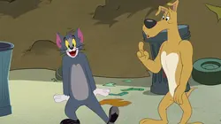 Tom et Jerry Show S04E59 Le chat qui faisait des claquettes