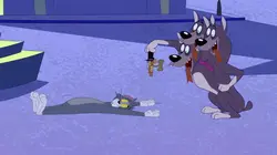 Tom et Jerry Show S04E31 Un chien qui n'en fait qu'à ses têtes