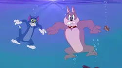 Tom et Jerry Show S02E05 La grande aventure de Tuffy