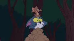 Tom et Jerry Show S02E07 De la soupe à la noix