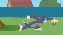 Tom et Jerry Show  S02E53 Ouste les vieilleries