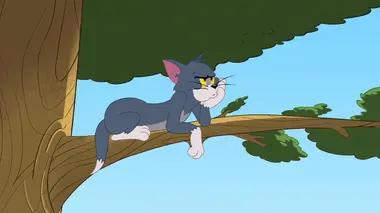 Tom et Jerry Show Le blues du printemps