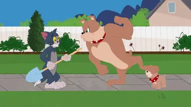 Tom et Jerry Show S01E06 Un temps de chien