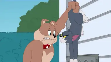 Tom et Jerry Show S02E772 Les trois petits diables