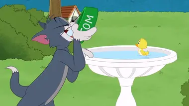 Tom et Jerry Show S03E05 Une baignade agitée