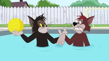 Tom et Jerry Show S03E13 Tout le monde dans la piscine