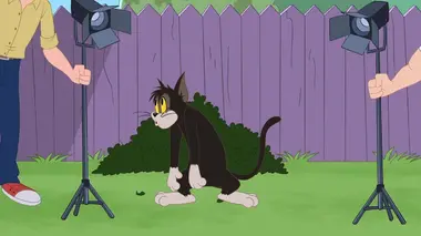 Tom et Jerry Show S03E18 La star