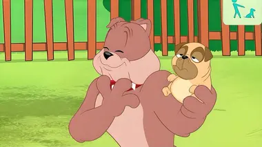 Tom et Jerry Show S03E25 Spike amoureux